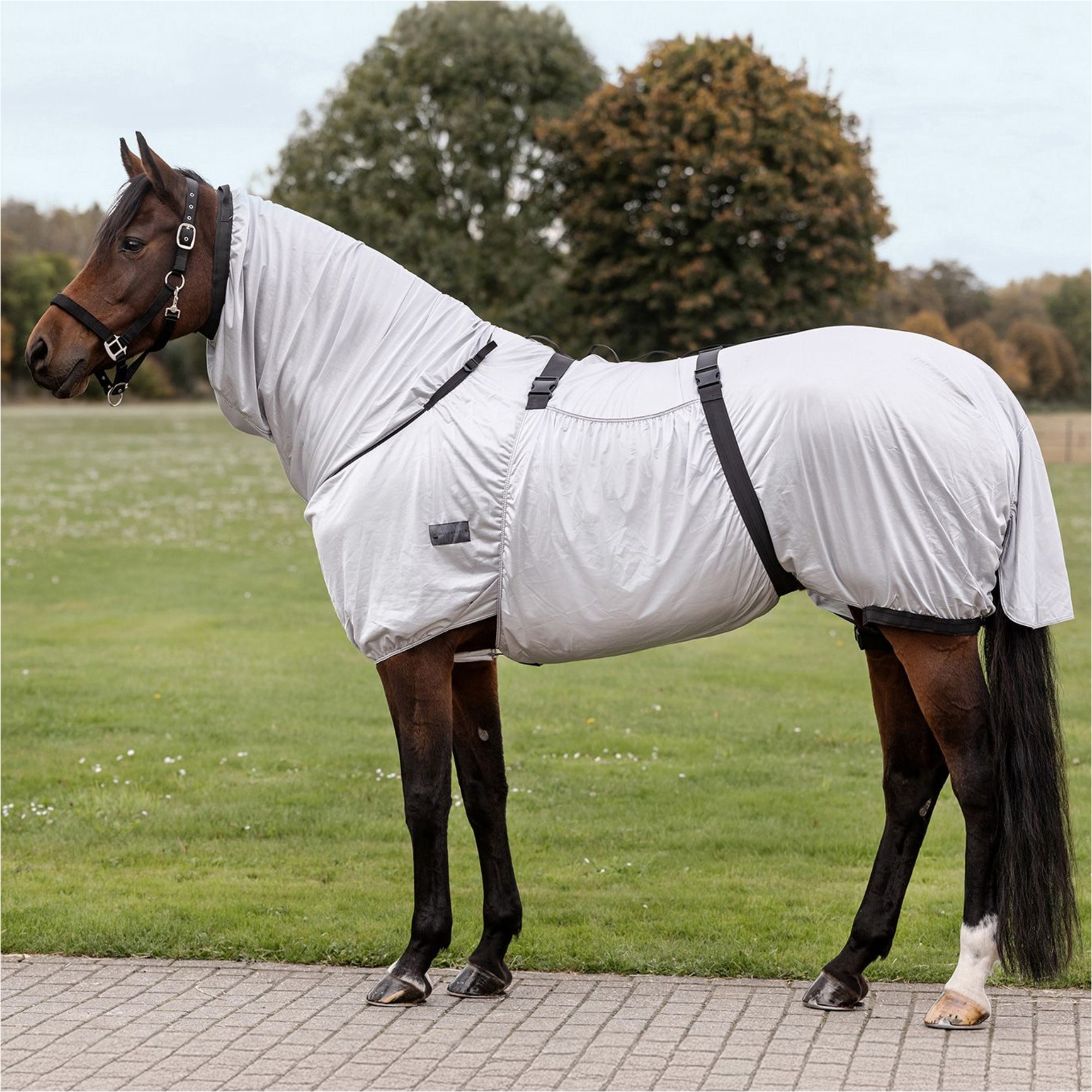 2026 Waldhausen Ekzem Teppich 8057711 - Silver Grey